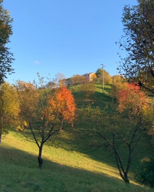 La Corte Di Cesio Monfumo Экстерьер фото